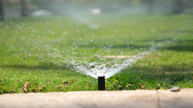 How Proper Sprinkler Installation Keeps Your Arizona Landscape Thriving