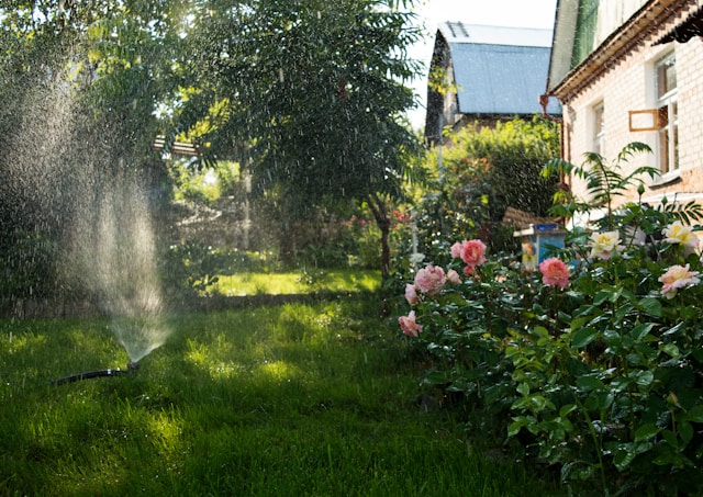 Revamp Your Irrigation System: A Guide to Sprinkler Installation and Repair with All Valley Landscaping