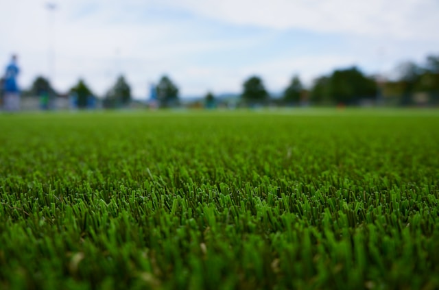 Sod vs. Artificial Turf vs. Ground Cover: What’s Right for Your Phoenix Yard?
