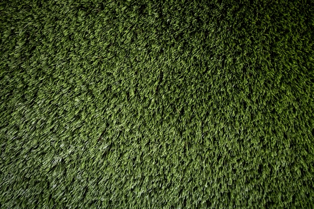 Why Sod Installation Is the Fastest Way to a Beautiful Lawn in Phoenix