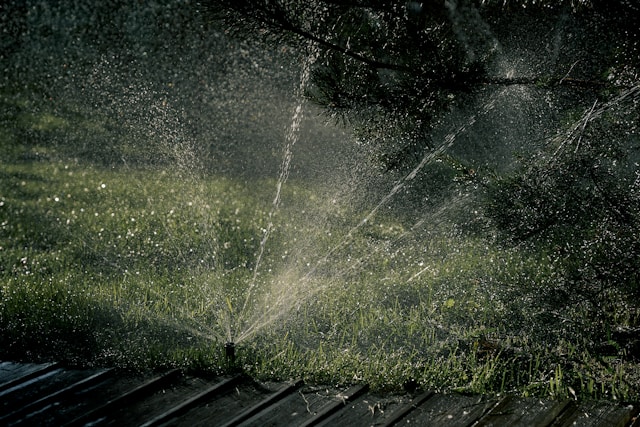 Sprinkler Repair and Irrigation Installation in Phoenix: Save Water and Keep Your Landscape Healthy