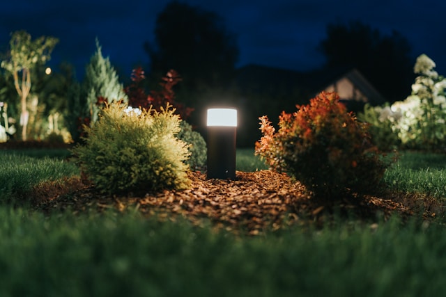 Transform Your Yard After Dark With Expert Landscape Lighting