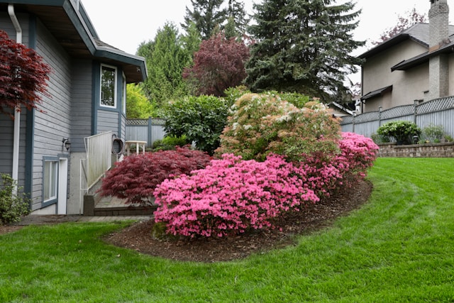 Top-Rated Landscaping Services in Phoenix: Why Homeowners Choose All Valley Landscaping