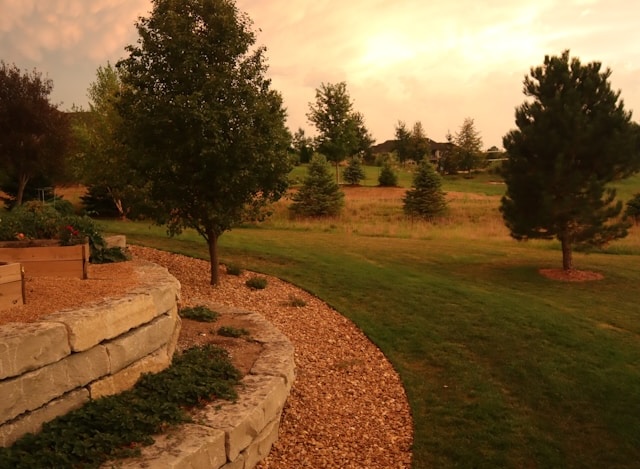 Landscaping Services in Phoenix AZ: Complete Guide to Design, Installation & Maintenance